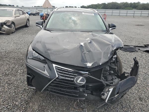 2018 LEXUS NX 300 300 Luxury