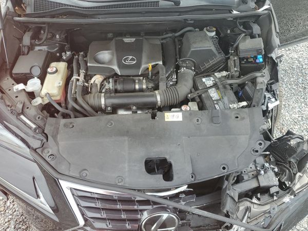 2018 LEXUS NX 300 300 Luxury