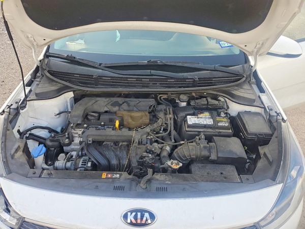 2020 KIA RIO