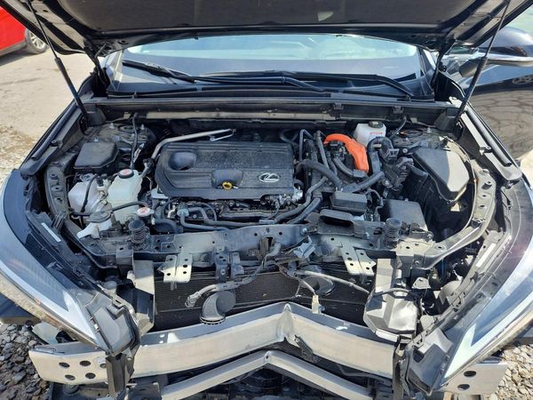 2024 LEXUS NX 350H 350h Premium