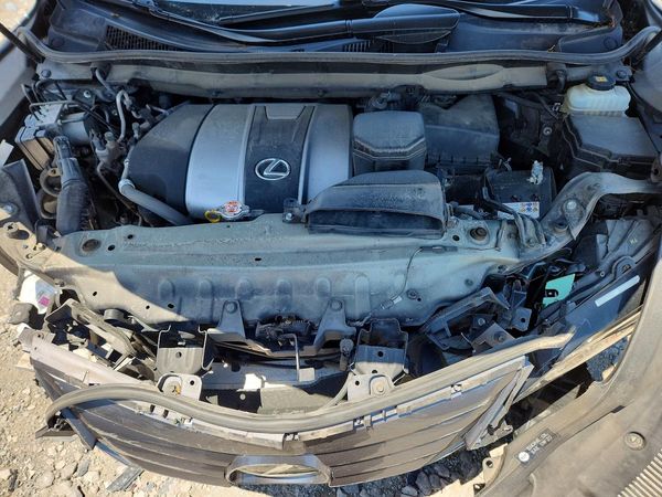 2019 LEXUS RX