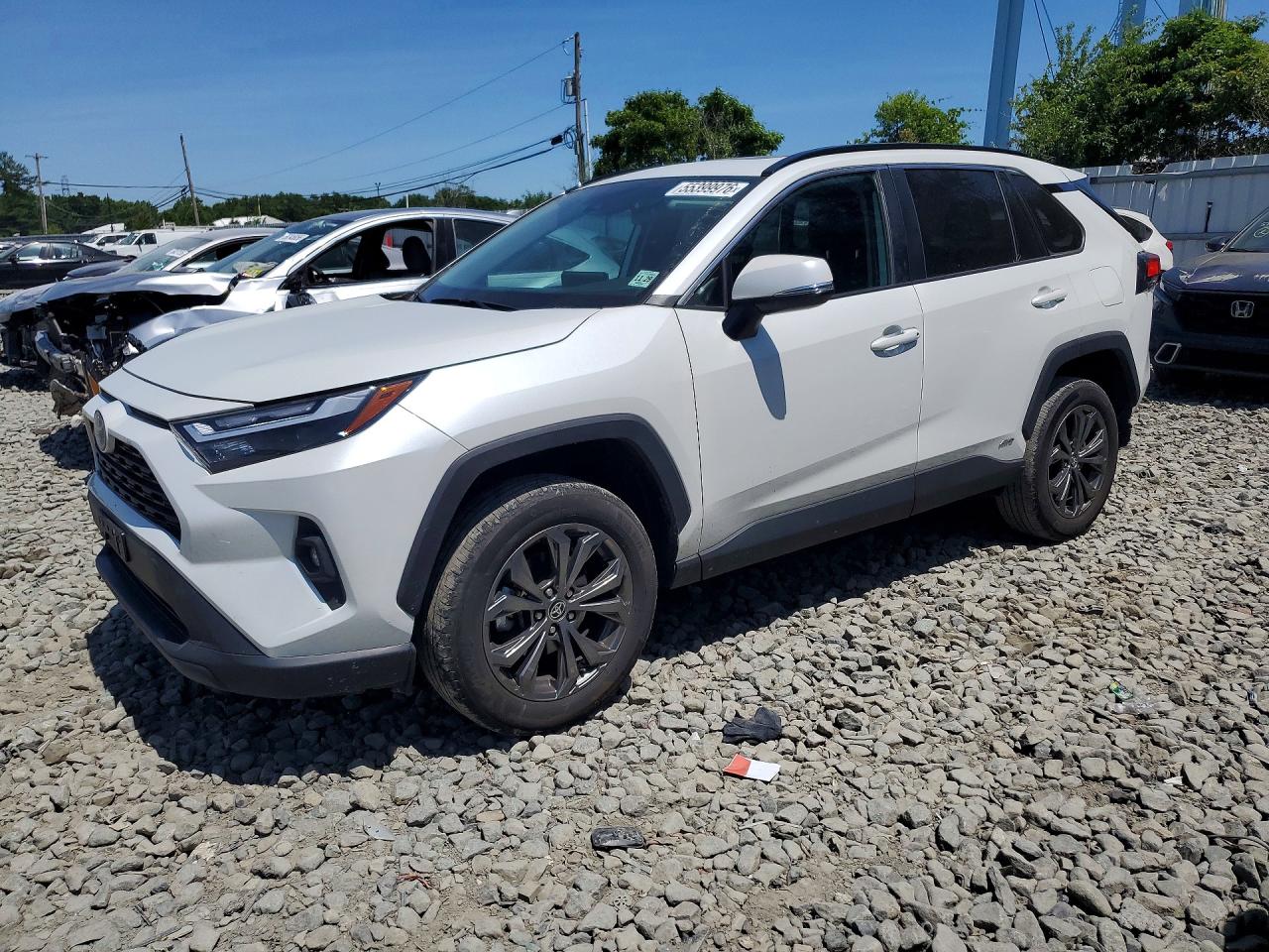 2024 TOYOTA RAV4 XLE Premium
