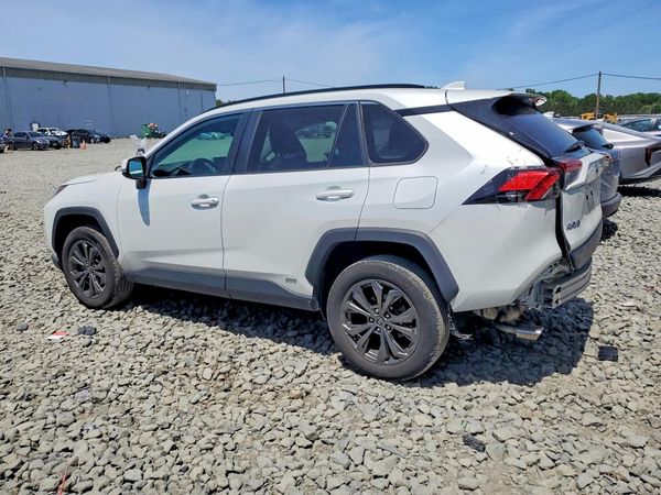 2024 TOYOTA RAV4 XLE Premium