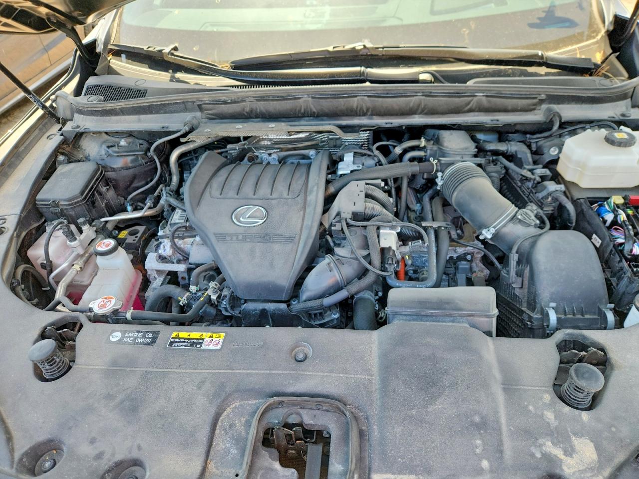 2024 LEXUS RX 500H