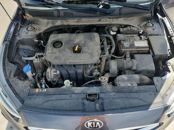 2019 KIA FORTE FE/LX/LXS
