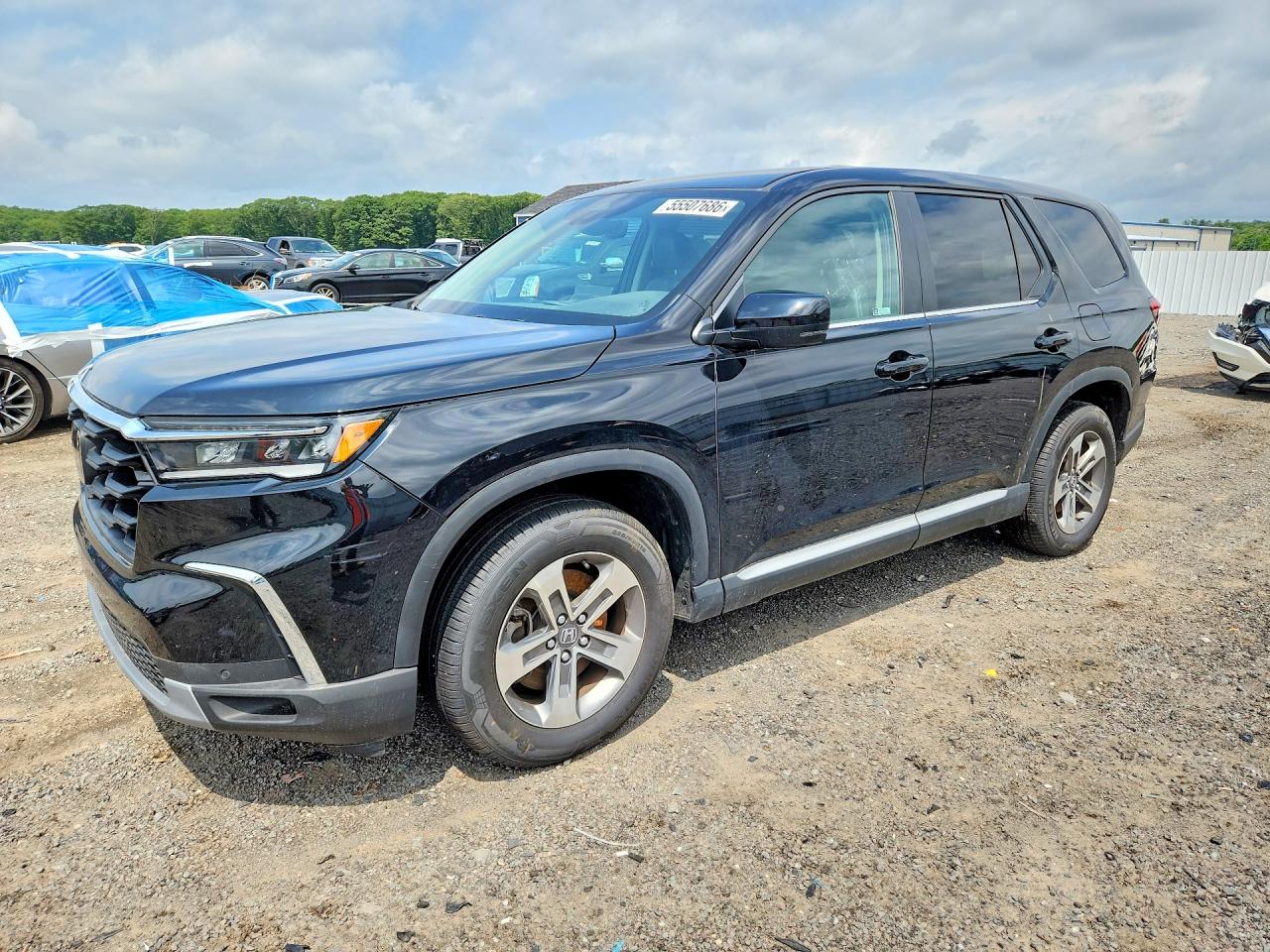2024 HONDA PILOT
