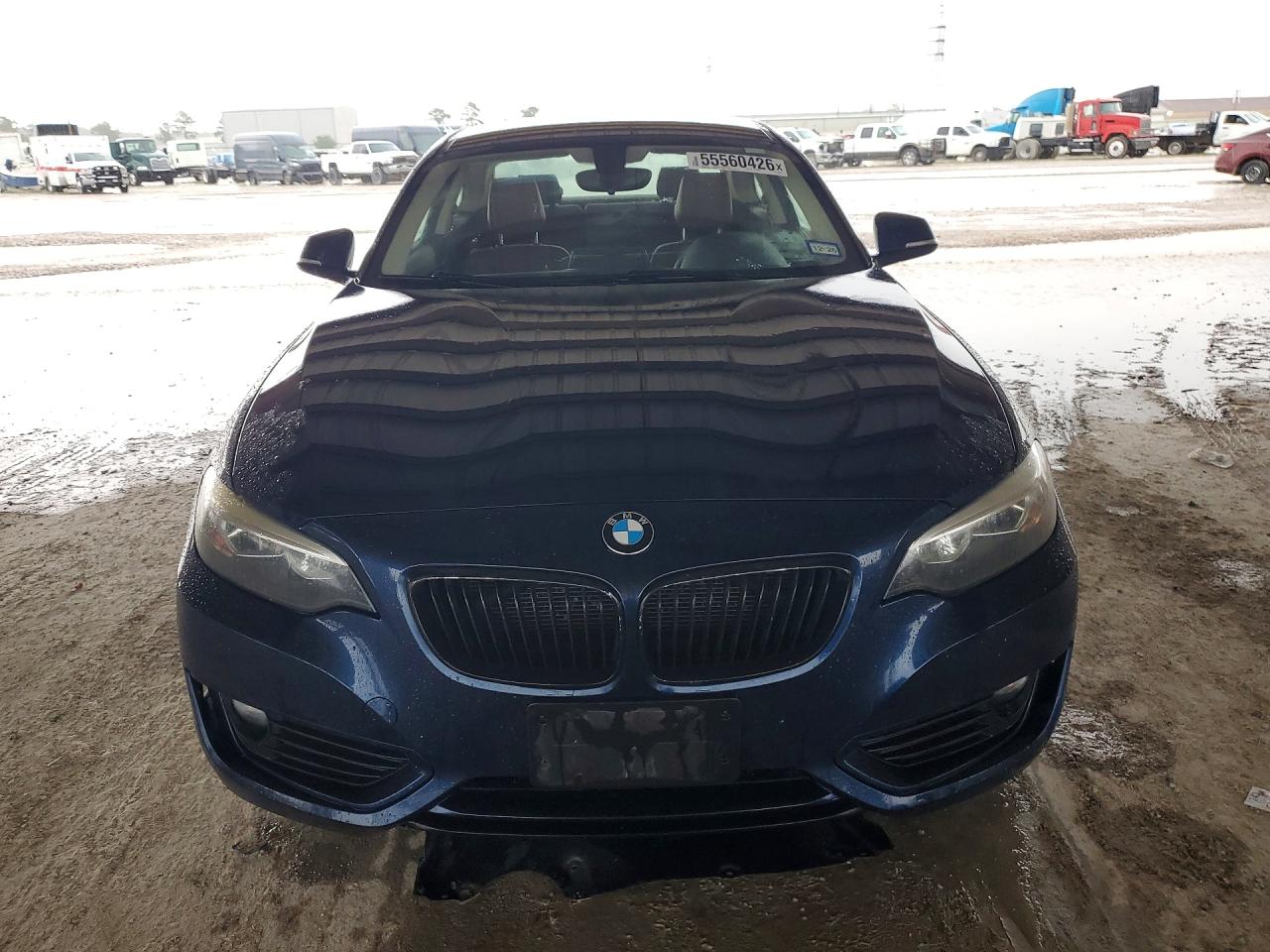2015 BMW 228