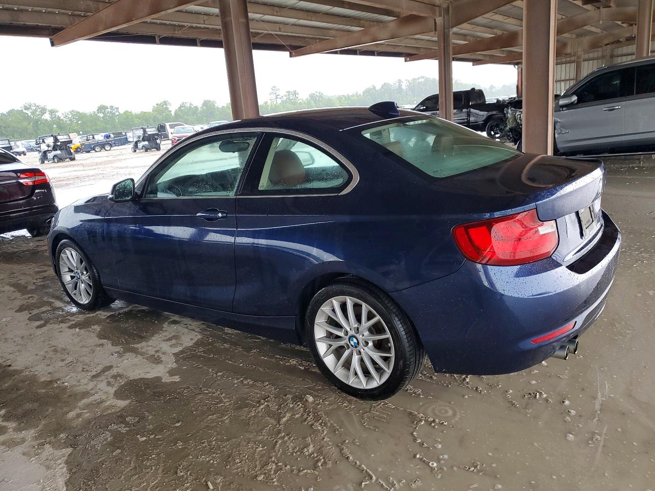 2015 BMW 228