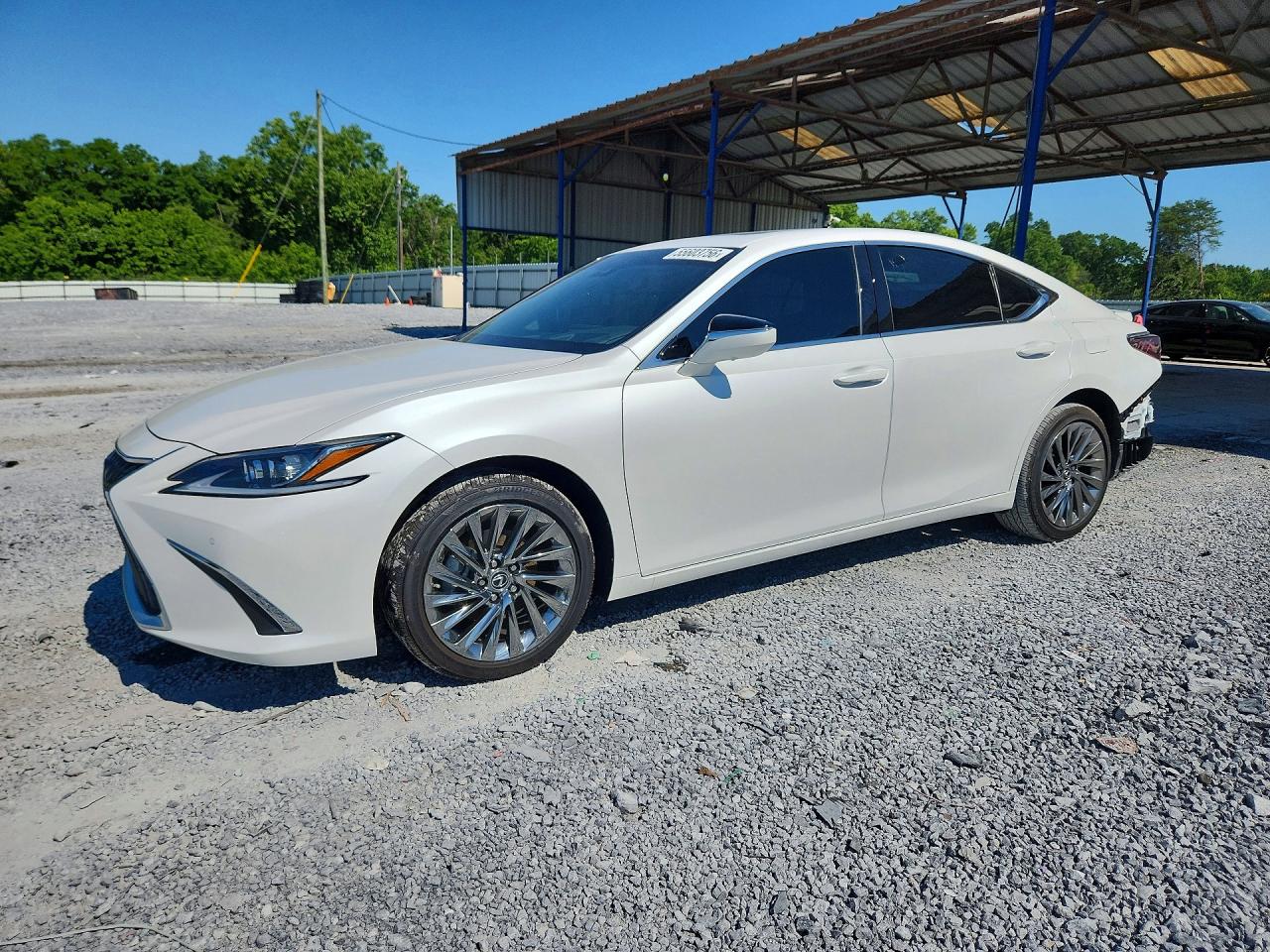 2025 LEXUS ES 300H 300h Luxury