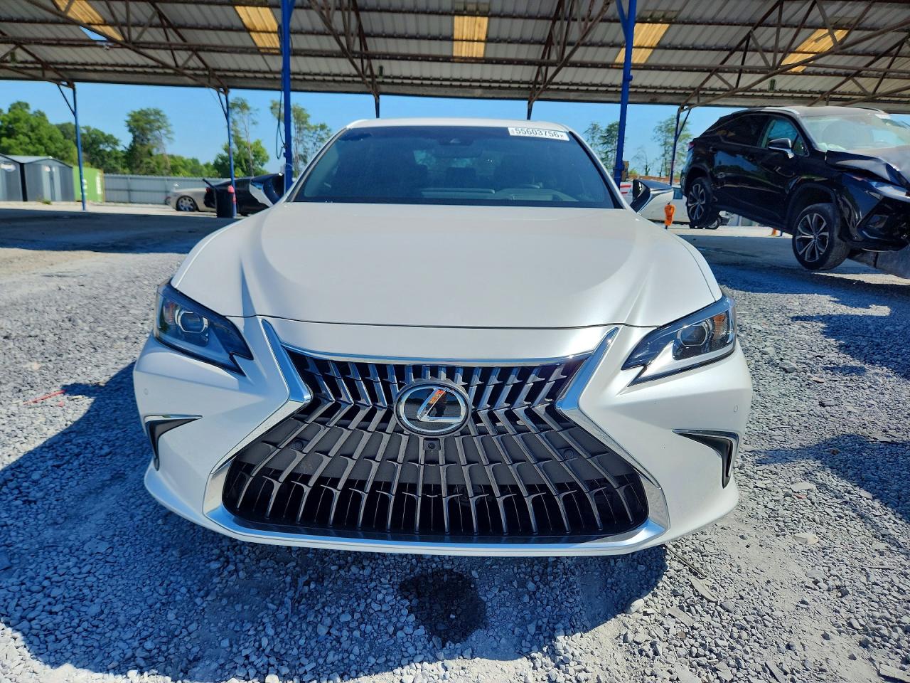 2025 LEXUS ES 300H 300h Luxury