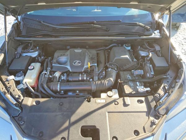 2019 LEXUS NX 300 300 Luxury