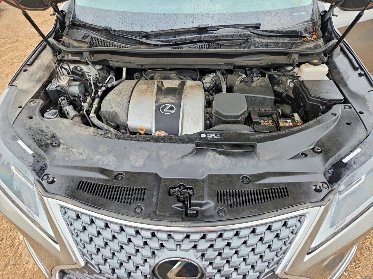 2020 LEXUS RX 350 Premium