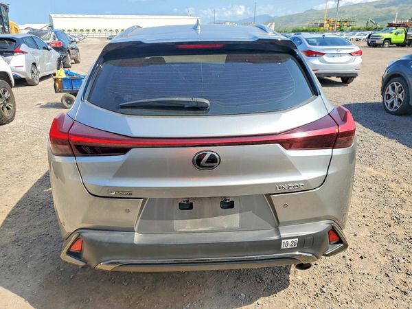 2019 LEXUS UX 200 Base/Luxury/F Sport