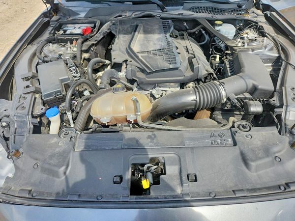 2020 FORD MUSTANG I4 Convertible