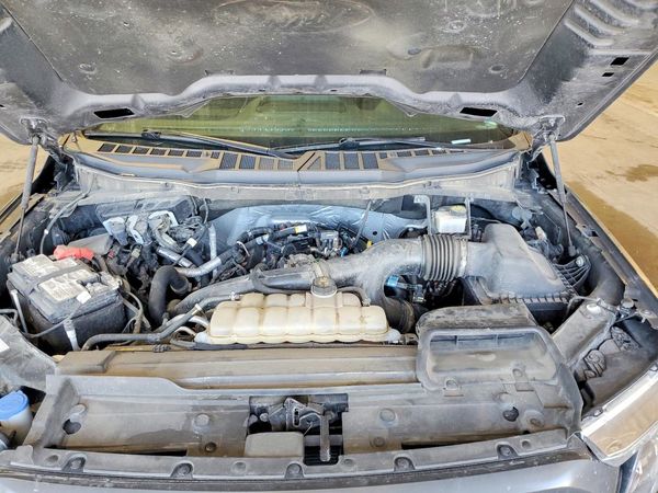 2021 FORD F150