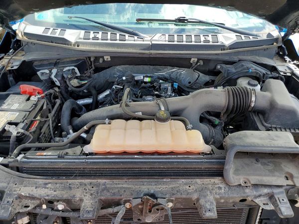 2019 FORD F150