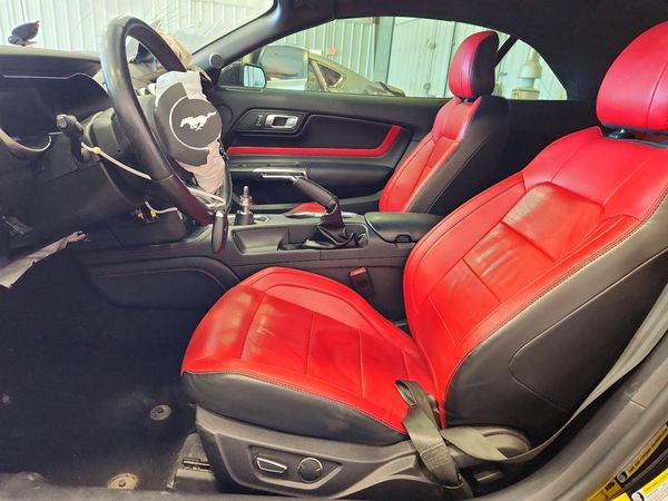 2019 FORD MUSTANG GT Convertible