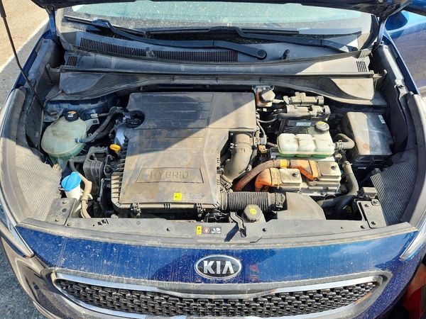 2019 KIA NIRO FE (HEV), LX (HEV)