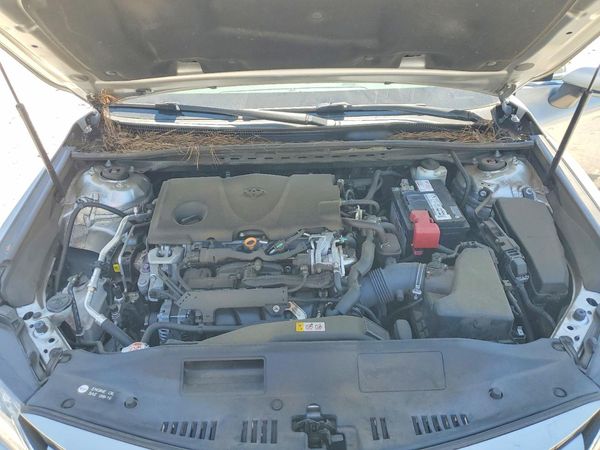 2019 TOYOTA CAMRY