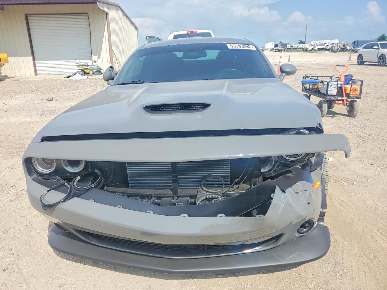 2019 DODGE CHALLENGER R/T
