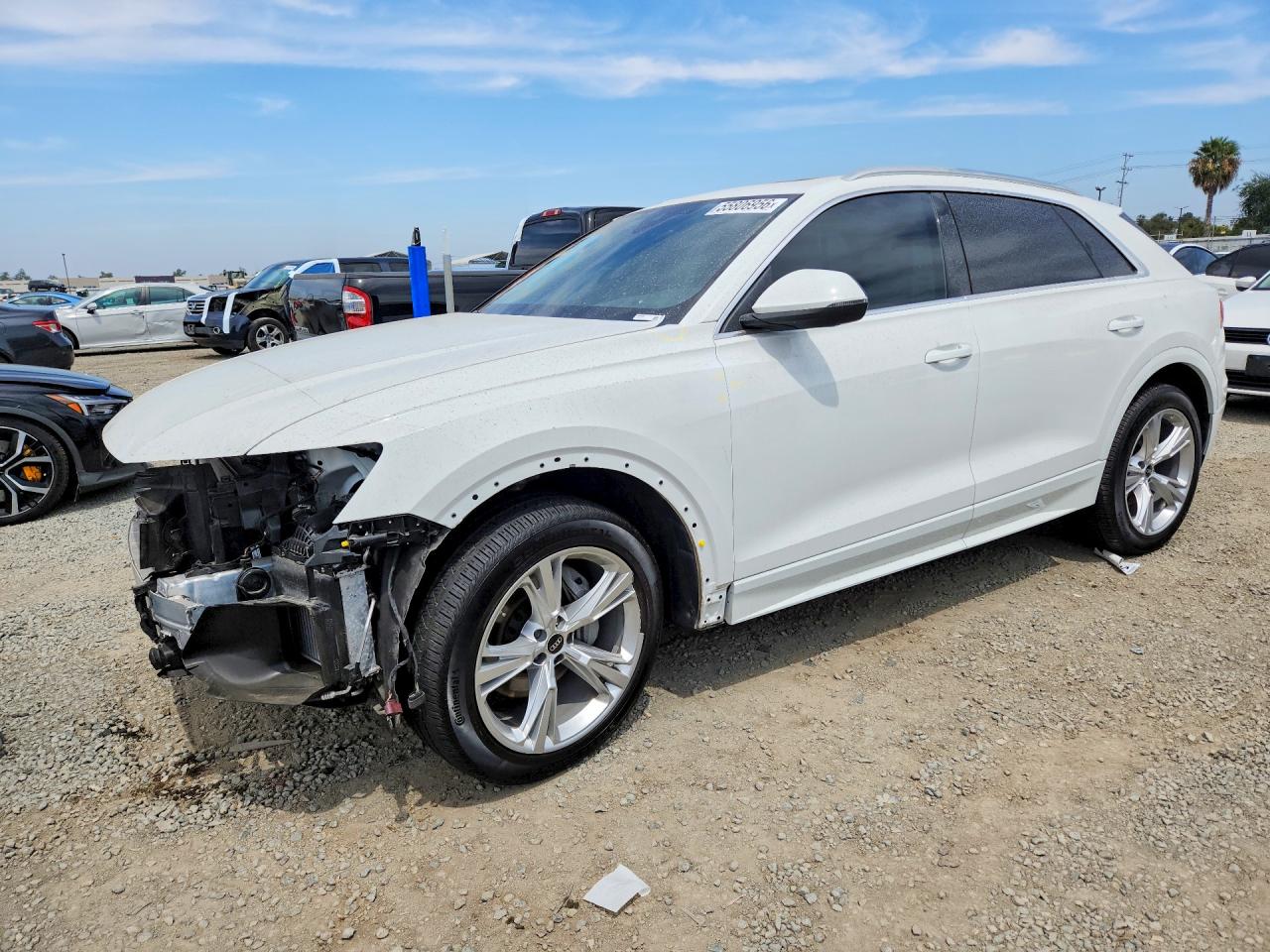2023 AUDI Q8 quattro Premium Plus