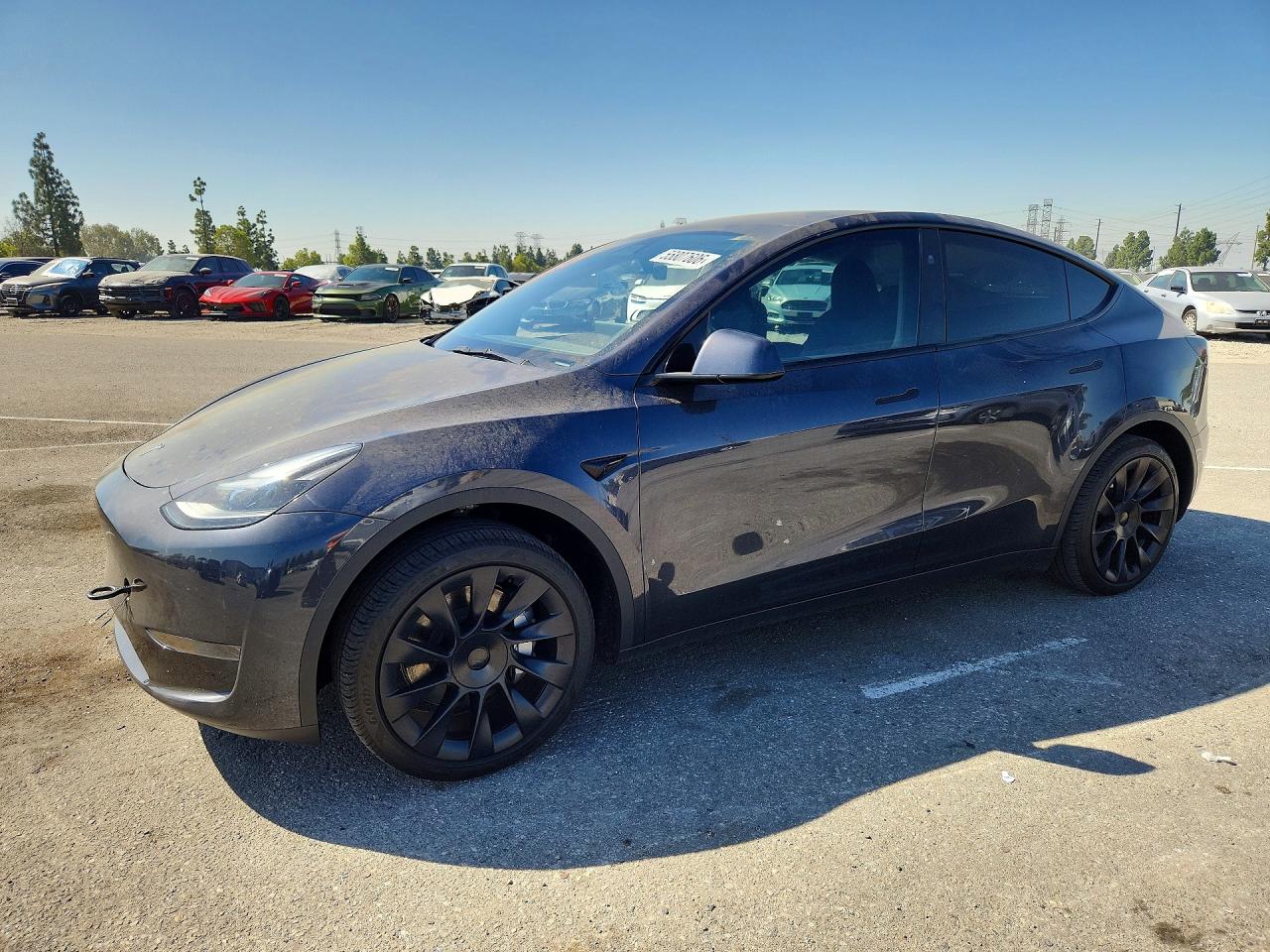 2024 TESLA MODEL Y