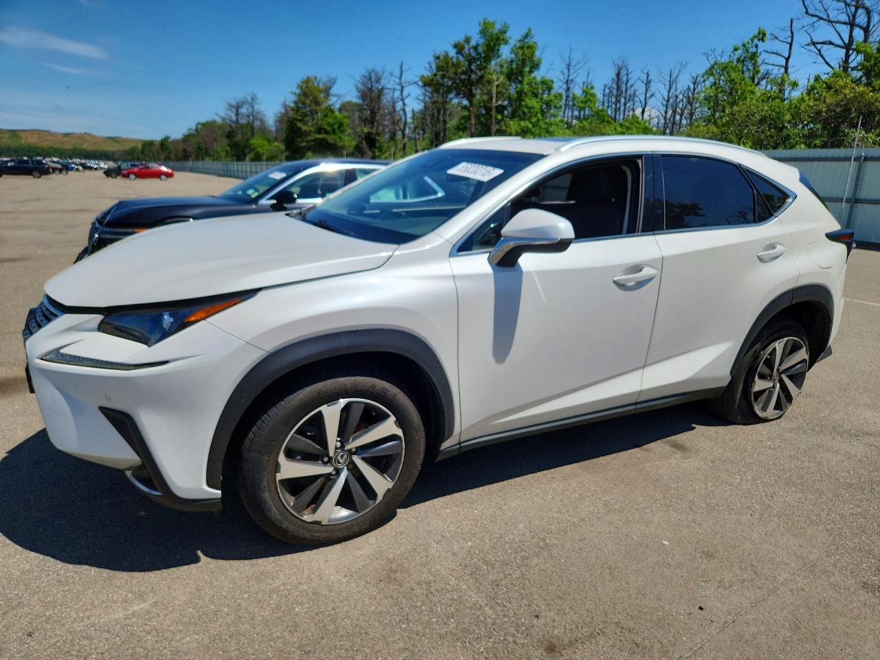 2019 LEXUS NX 300 300 Luxury