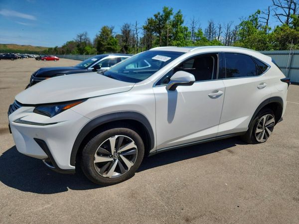 2019 LEXUS NX 300 300 Luxury