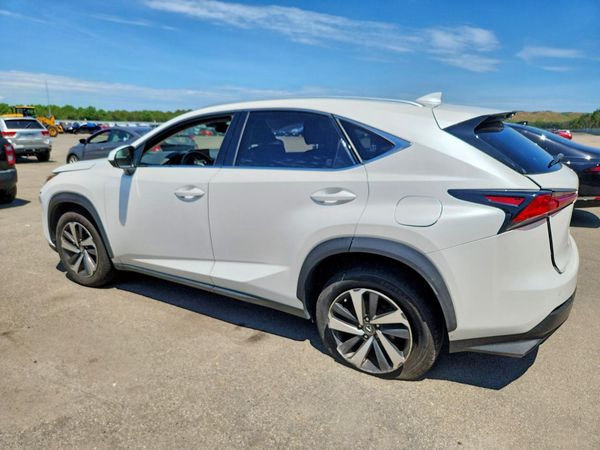 2019 LEXUS NX 300 300 Luxury