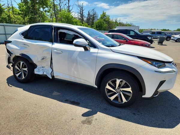 2019 LEXUS NX 300 300 Luxury
