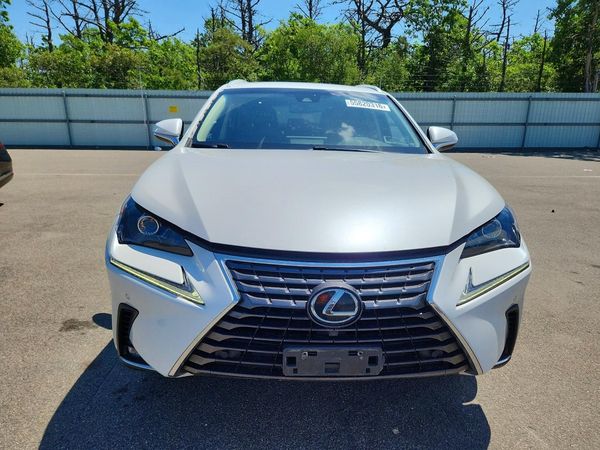 2019 LEXUS NX 300 300 Luxury