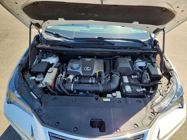 2019 LEXUS NX 300 300 Luxury