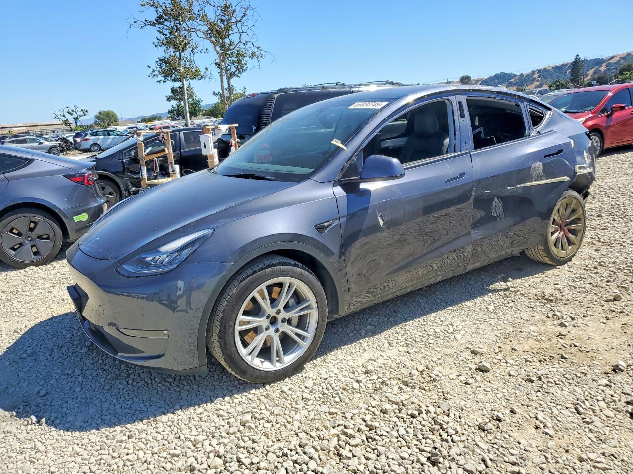 2021 TESLA MODEL Y