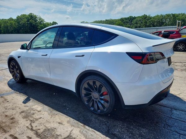 2025 TESLA MODEL Y
