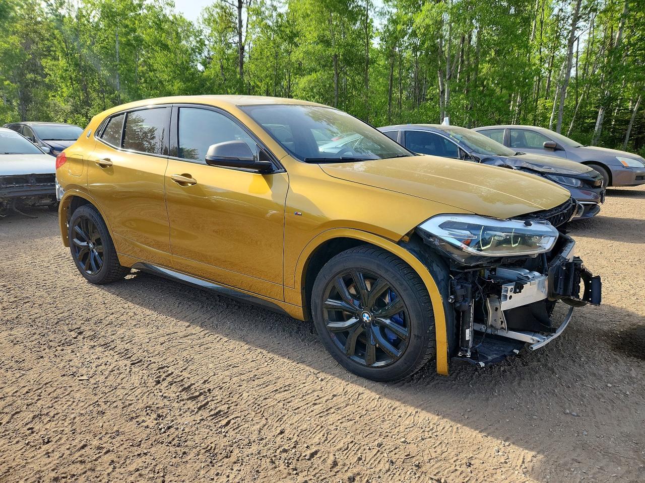 2019 BMW X2