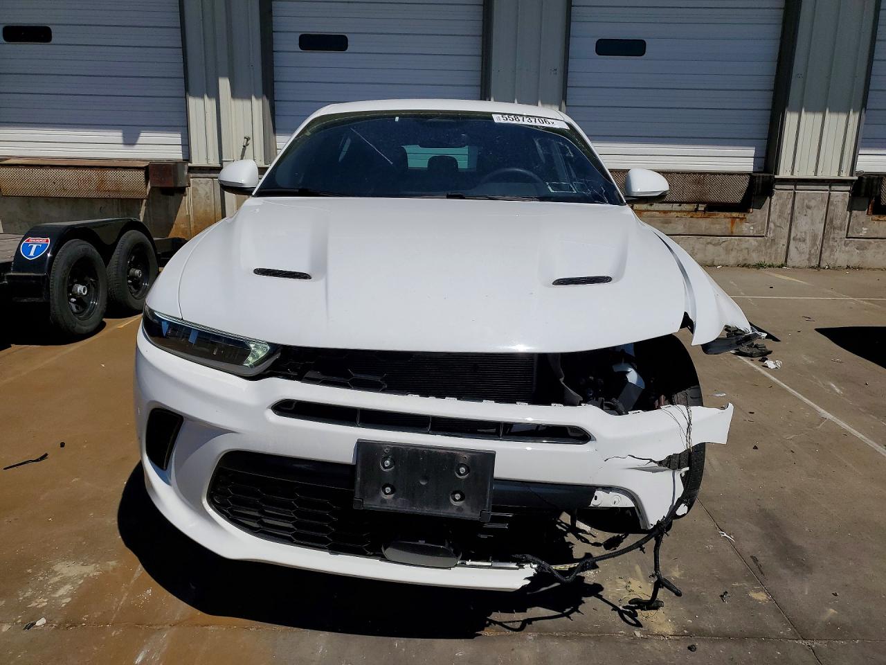 2024 DODGE HORNET R/T