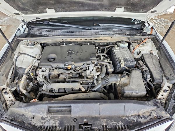 2019 TOYOTA CAMRY
