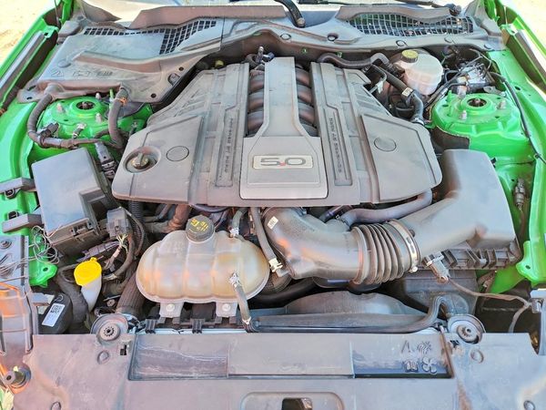 2019 FORD MUSTANG GT Coupe