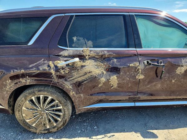 2023 HYUNDAI PALISADE Caligraphy