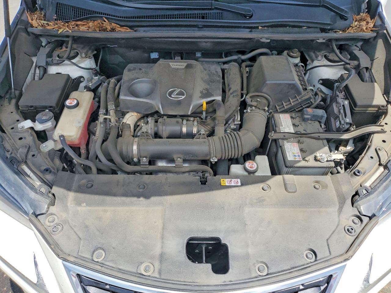 2020 LEXUS NX 300 Comfort