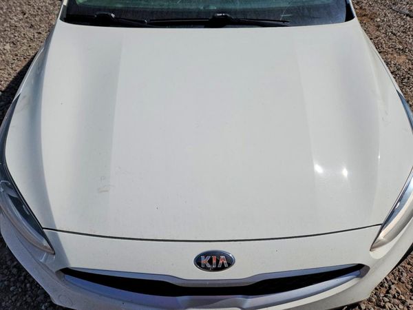 2019 KIA FORTE