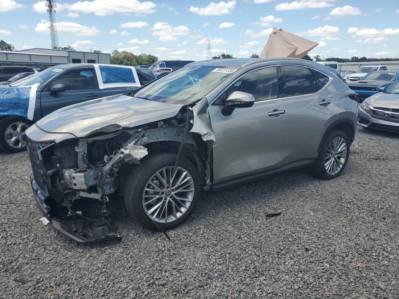 2025 LEXUS NX 350 Premium