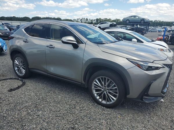 2025 LEXUS NX 350 Premium