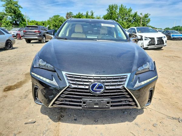 2019 LEXUS NX