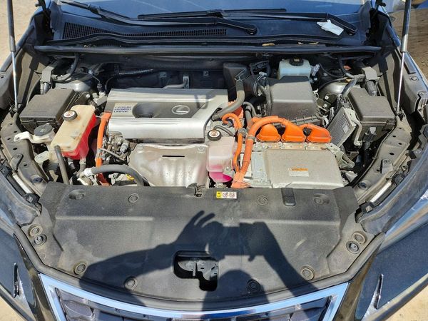 2019 LEXUS NX