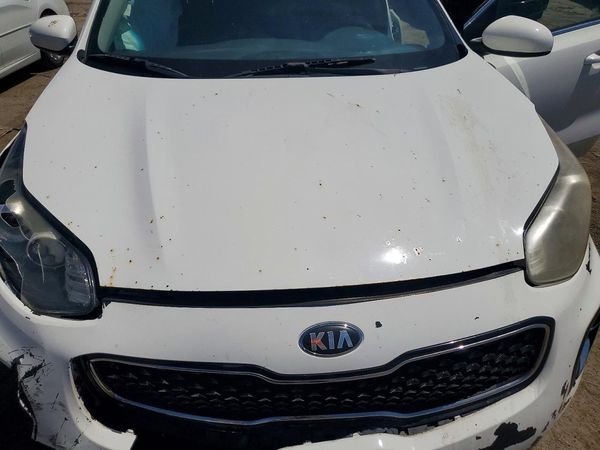 2019 KIA SPORTAGE