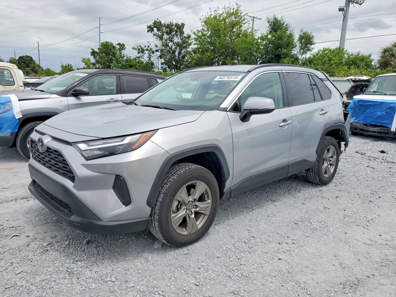 2024 TOYOTA RAV4 XLE