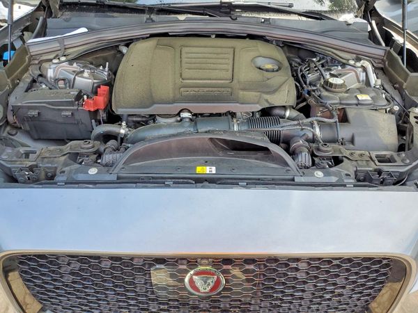 2019 JAGUAR F-PACE