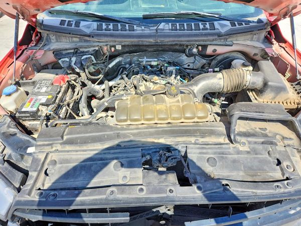 2019 FORD F150