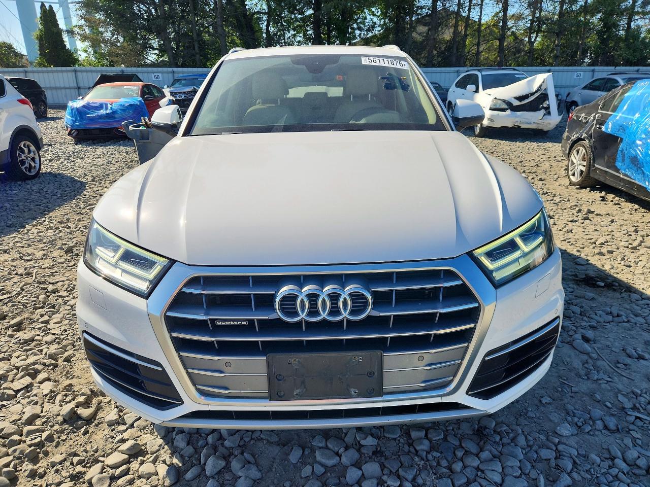2019 AUDI Q5 quattro Premium Plus